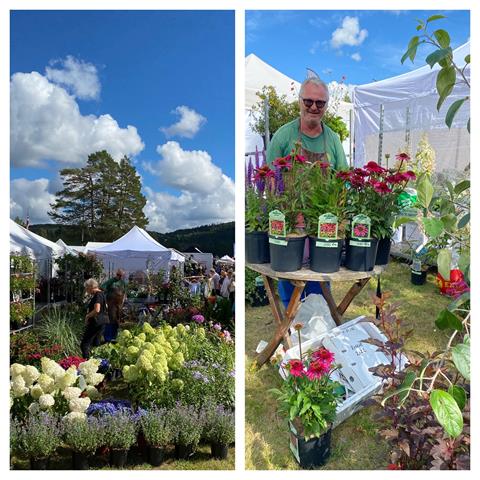 Pedersen blomster og grønt